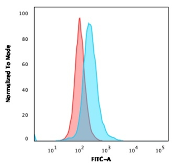 CD5 Antibody