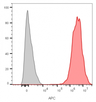 CD9 Antibody