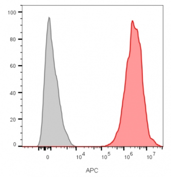 CD9 Antibody
