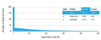 CD14 Antibody