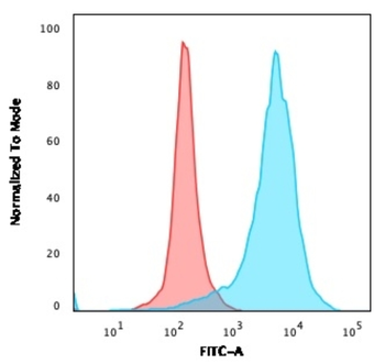 CD63 Antibody