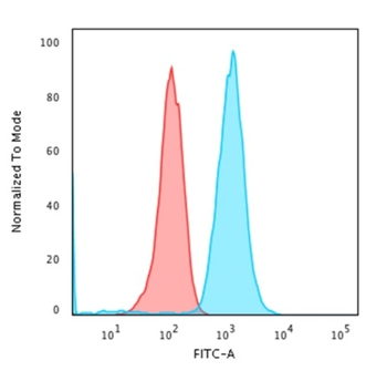 CD79A Antibody