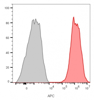 CD81 Antibody