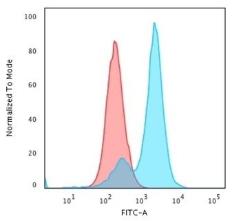 COL7A1 Antibody
