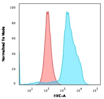 NKX3-1 Antibody