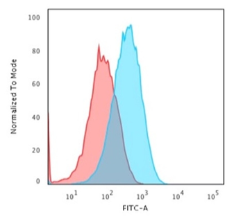 ALB Antibody