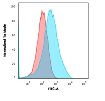 MSH6 Antibody