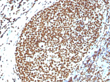 H1-0, N/A Antibody