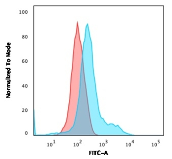 ANXA1 Antibody