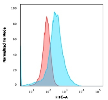 ANXA1 Antibody