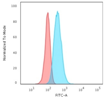 KRT13 Antibody