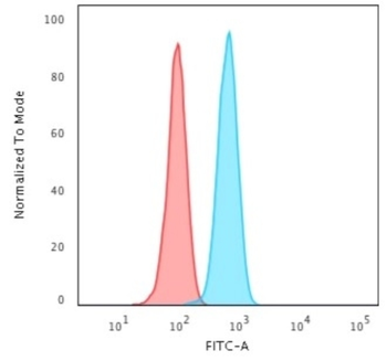 KRT14 Antibody