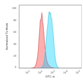 MYC Antibody
