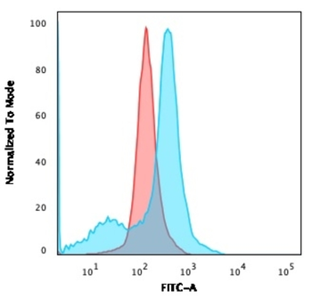 NT5E Antibody
