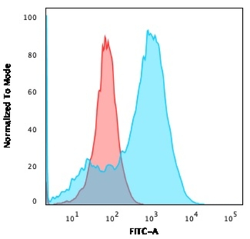 S100A4 Antibody