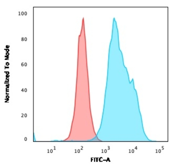 MS4A1 Antibody