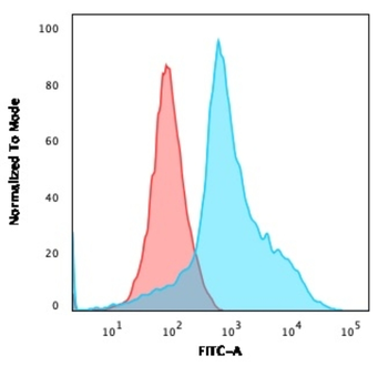 CD40LG Antibody