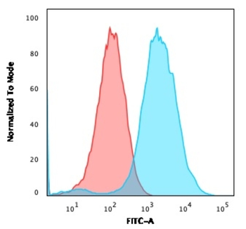 CD47 Antibody
