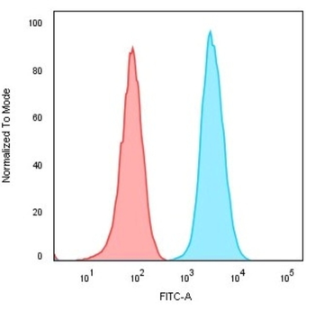 CD74 Antibody