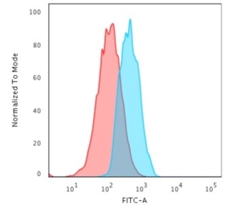 CDH1 Antibody