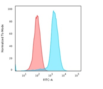 HLA-DPB1 Antibody