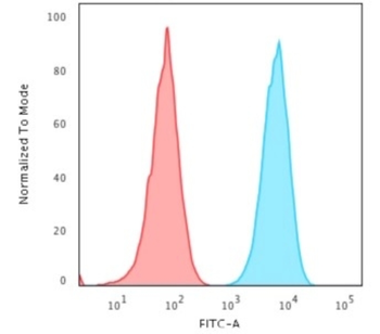 HLA-DPB1 Antibody