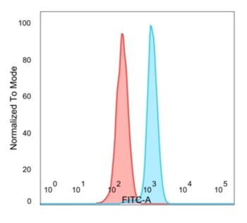 E4F1 Antibody