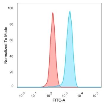 EIF2S1 Antibody