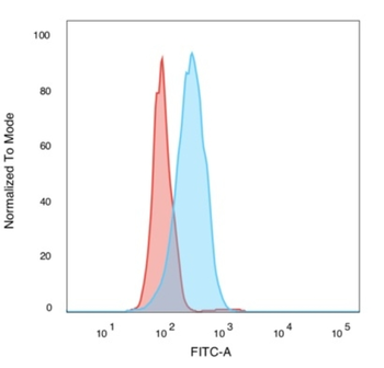 SIRT2 Antibody