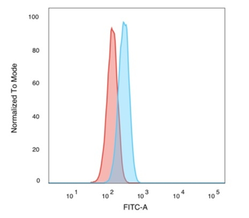 SMAD3 Antibody