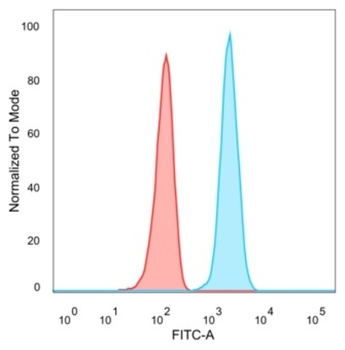 STAT5A Antibody