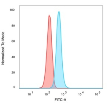 TRIM24 Antibody