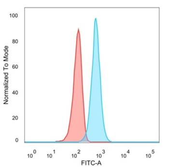 TSC22D1 Antibody