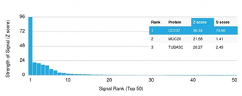 CD137 / 4-1BB / TNFRSF9 Antibody