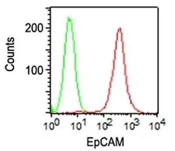 EpCAM / CD326 (Epithelial Marker) Antibody