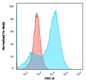 S100A4 / Metastasin / Calvasculin (Marker of Tumor Metastasis) Antibody