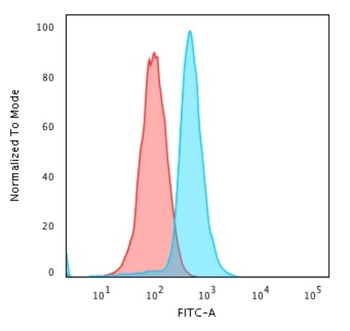 BCL10 Antibody