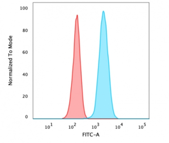 VCL Antibody