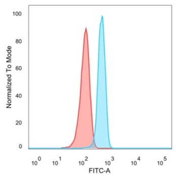 TARBP2 Antibody