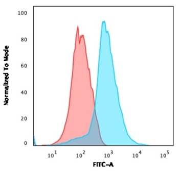 PECAM-1 Antibody