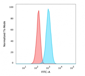 CA9 Antibody