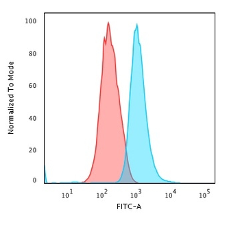 Cytokeratin 14 (KRT14) (Squamous Cell Marker) Antibody