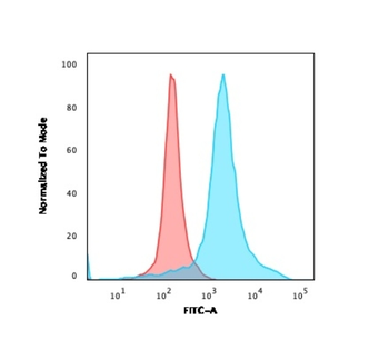 CA9 Antibody