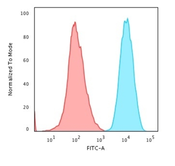 B2M Antibody