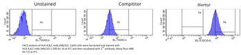 HLA-A, HLA-B, HLA-C Antibody