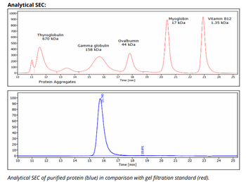 CD8α mAb (2.43), InVivoPure+