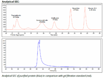 CTLA-4 Antibody