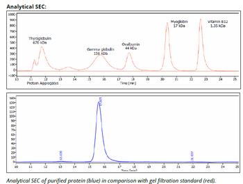 PD-1 Antibody