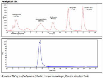 Mouse IgG2A k Isotype Control, Antibody
