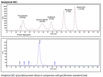 Mouse IgG1ĸ Isotype Control, Antibody